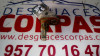  SENSOR Ford FOCUS BERLINA (CAP) 
