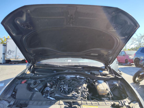 CAPO Audi A6 AVANT (4GD) 