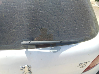 BRAZO LIMPIA TRASERO Peugeot 307 (S1)(04.2001->06.2005)