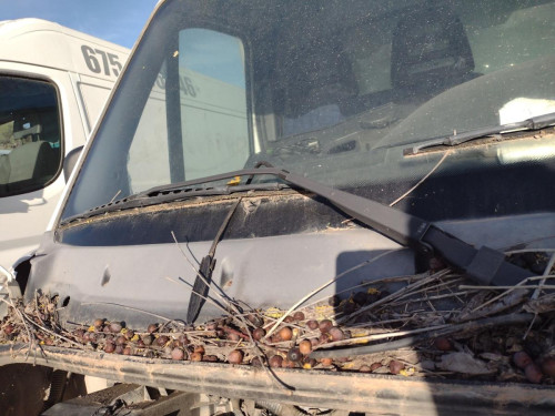 BRAZO LIMPIA DELANTERO DERECHO IVECO DAILY FURGÓN 