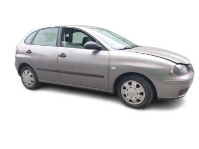 SEAT IBIZA (6L1)