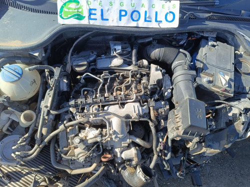  VOLKSWAGEN GOLF PLUS VI (521) 
