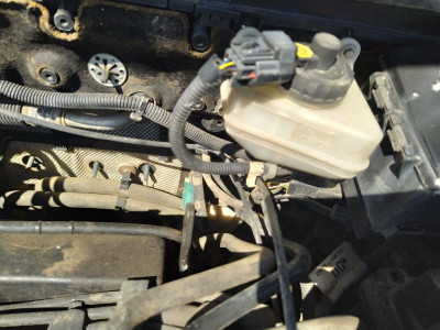 BOMBA FRENO, FORD, FOCUS BERLINA (CAK)
