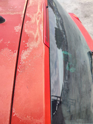 PORTON TRASERO RENAULT CLIO III 