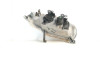  FARO IZQUIERDO MG ROVER ROVER 45 (RT) 