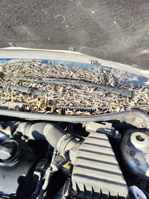 BRAZO LIMPIA DELANTERO IZQUIERDO, SEAT, CORDOBA BERLINA (6L2)