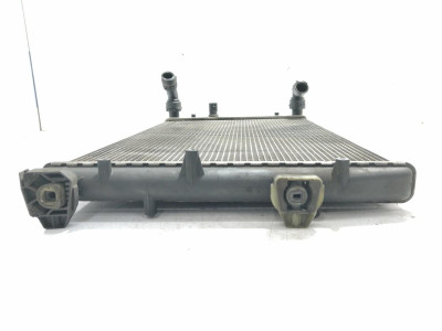 RADIADOR AGUA, SEAT, IBIZA (6L1)