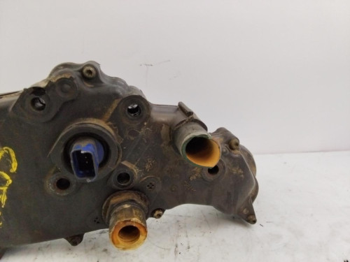 TERMOSTATO Peugeot 206 