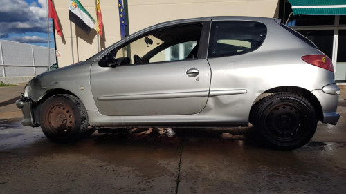  Peugeot 206 (1998->) SIN IDENTIFICAR 
