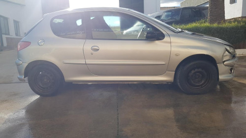  Peugeot 206 (1998->) SIN IDENTIFICAR 
