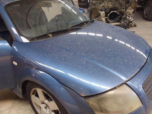 CAPO AUDI TT COUPE/ROADSTER (8N3/8N9) 