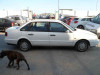  VOLKSWAGEN PASSAT BERLINA (3A2) 