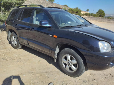 HYUNDAI SANTA FE (SM)