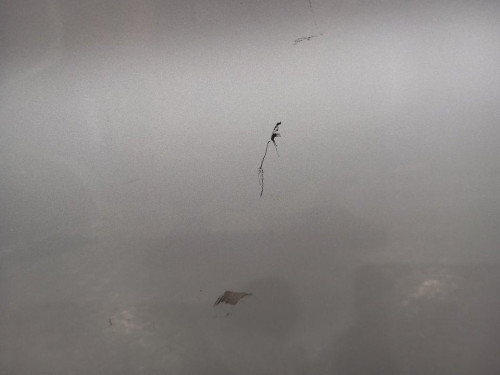  PUERTA TRASERA IZQUIERDA, BMW, SERIE 3 TOURING (E91) 