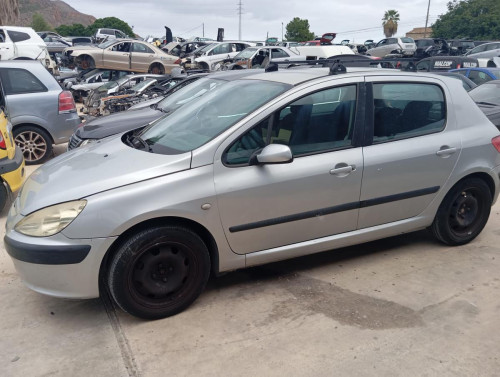  PEUGEOT 307 (S1)(04.2001) 