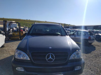 MERCEDES-BENZ CLASE ML (BM 163)