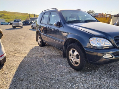 MERCEDES-BENZ CLASE ML (BM 163)