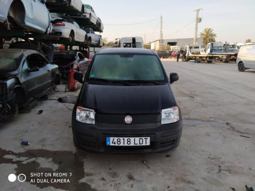  FIAT II PANDA (169) 