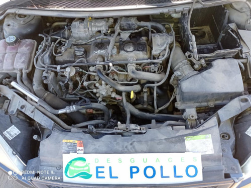  FORD FOCUS BERLINA (CAP) 