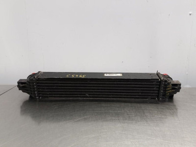INTERCOOLER, JEEP, COMPASS (MP)