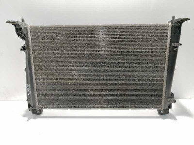 RADIADOR AGUA, FIAT, GRANDE PUNTO (199)