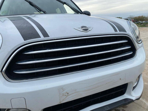  MINI COUNTRYMAN (F60) 