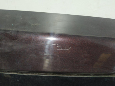 PORTON TRASERO, HYUNDAI, SANTA FE (CM)