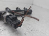 RAMPA INYECTORA Peugeot 407 