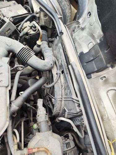  RENAULT KANGOO I (F/KC0) 