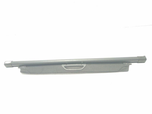  NO IDENTIFICADO RENAULT SCENIC III (JZ) 