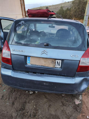 PORTON TRASERO, CITROEN, C2