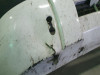 PARAGOLPES DELANTERO 