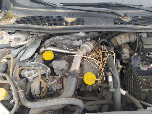 MOTOR LIMPIA DELANTERO Renault MEGANE III BERLINA 5P 