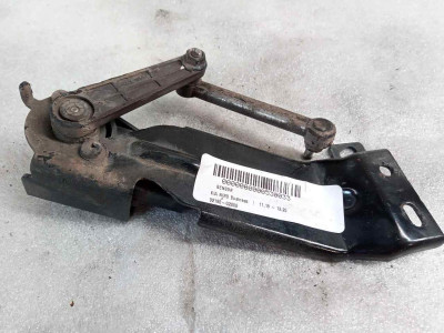 SENSOR, KIA, NIRO (DE)