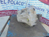 CAJA CAMBIOS RENAULT SCENIC II (JM) 