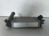  INTERCOOLER, NISSAN, JUKE (F16) 