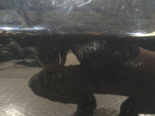  PUERTA TRASERA DERECHA FIAT III PUNTO (199) 