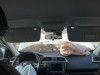  CUADRO INSTRUMENTOS, RENAULT, KADJAR 