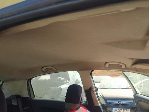 TECHO INTERIOR FIAT GRANDE PUNTO (199) 