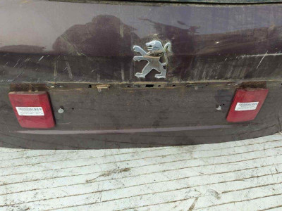 NO IDENTIFICADO, PEUGEOT, 407