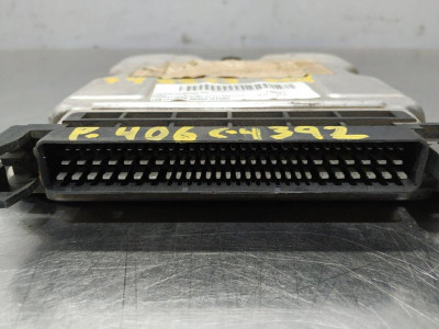 CENTRALITA MOTOR UCE, PEUGEOT, 406 BERLINA (S1/S2)