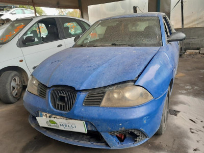 SEAT IBIZA (6L1)