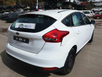 FORD FOCUS BERLINA (CEW)