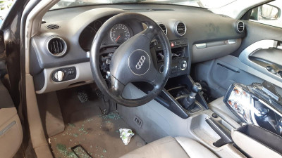 AUDI A3 (8P1)
