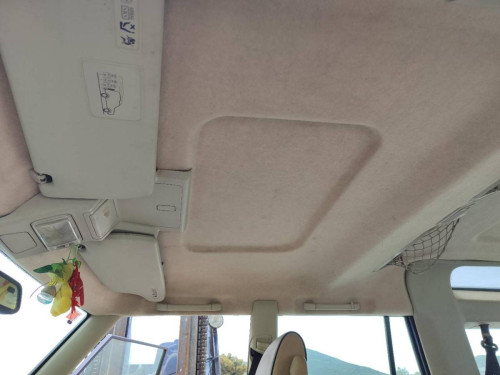 TECHO INTERIOR Land Rover DISCOVERY 