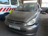 PEUGEOT 307 BREAK / SW (S1)(04.2002)