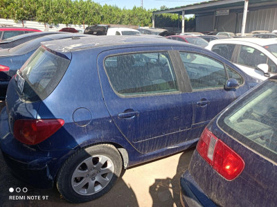 PEUGEOT 307 (S1)(04.2001)