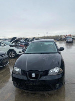 SEAT IBIZA (6L1)