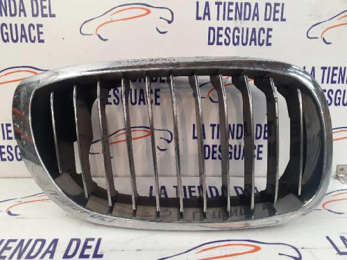  REJILLA DELANTERA 