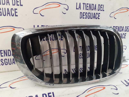  REJILLA DELANTERA 